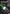 Lampe-tactique-pour-arme-klarus-GL6-1600-Lumens-green-laser_1-_4
